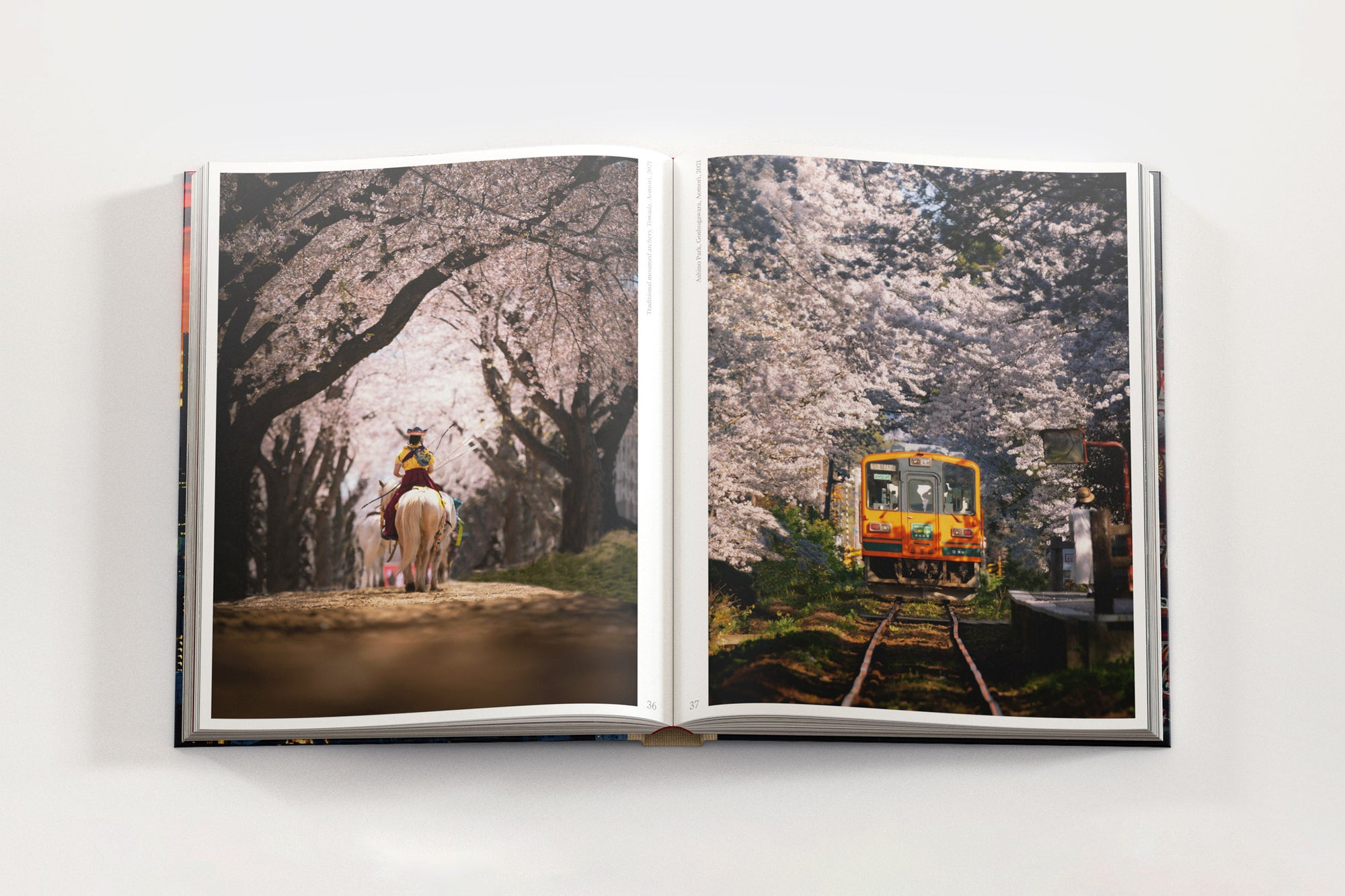 JAPAN: YUTO YAMADA